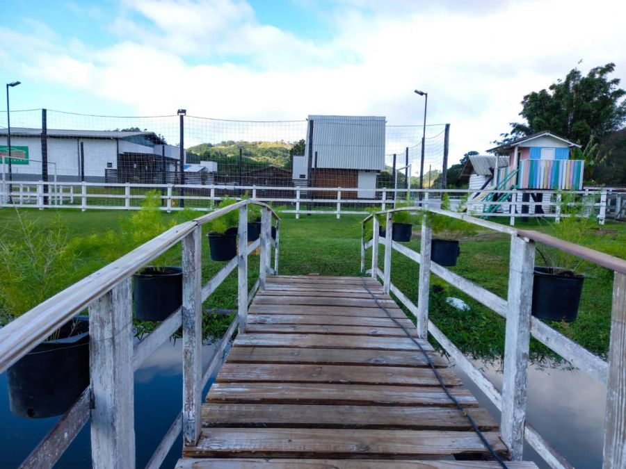 Terreno - Venda - Ribeirão do Cangueri - Imaruí - SC